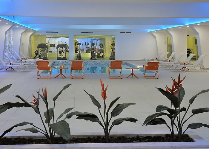 νέστωρ Αγία Νάπα